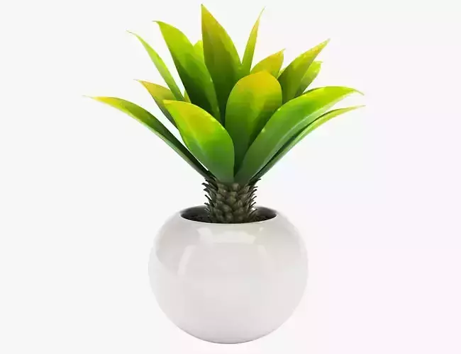Pot Plant 15
