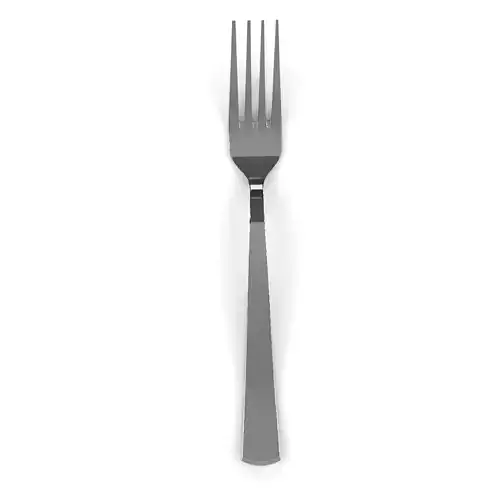 High Quality Fork