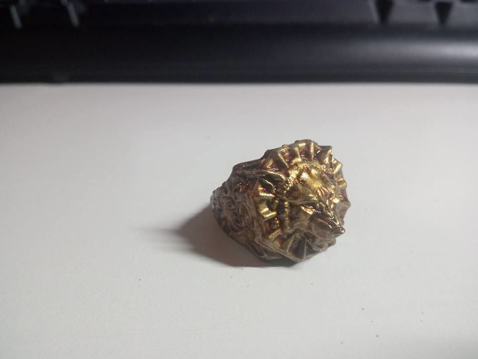 Ring of the Lone Wolf 3D print model_2