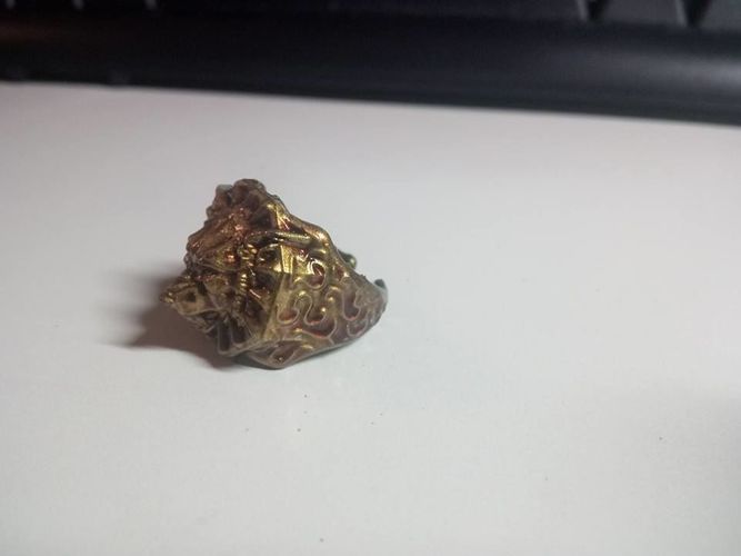 Ring of the Lone Wolf 3D print model