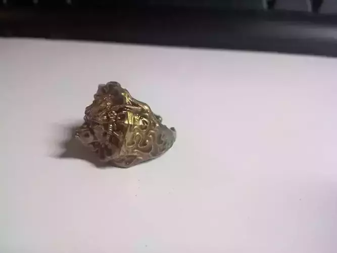 Ring of the Lone Wolf 3D print model