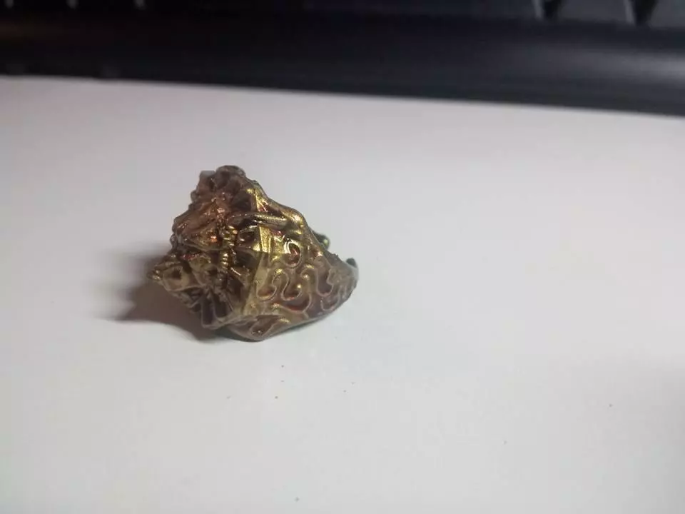 Ring of the Lone Wolf 3D print model_0