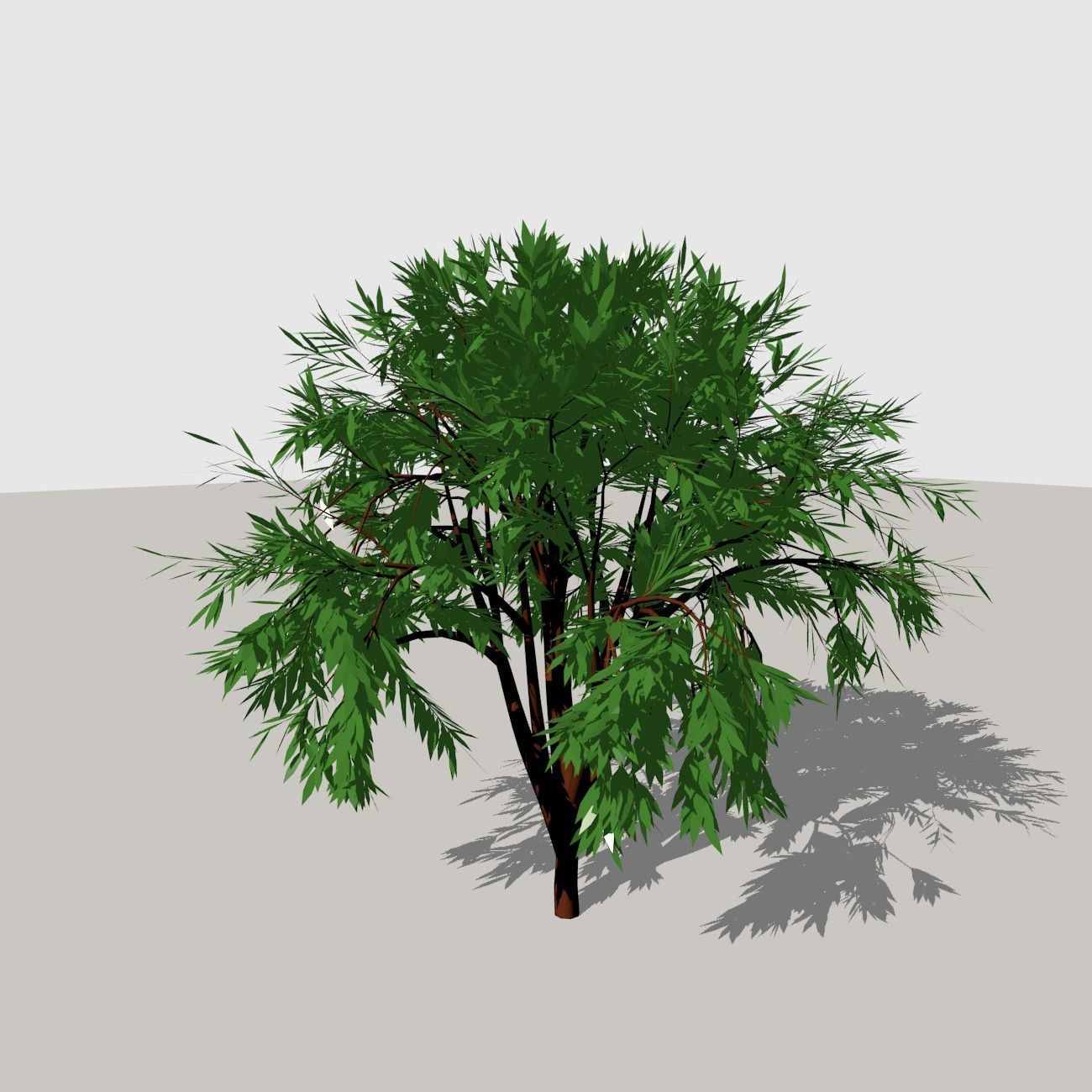Shrub 1 tree 3D model_4