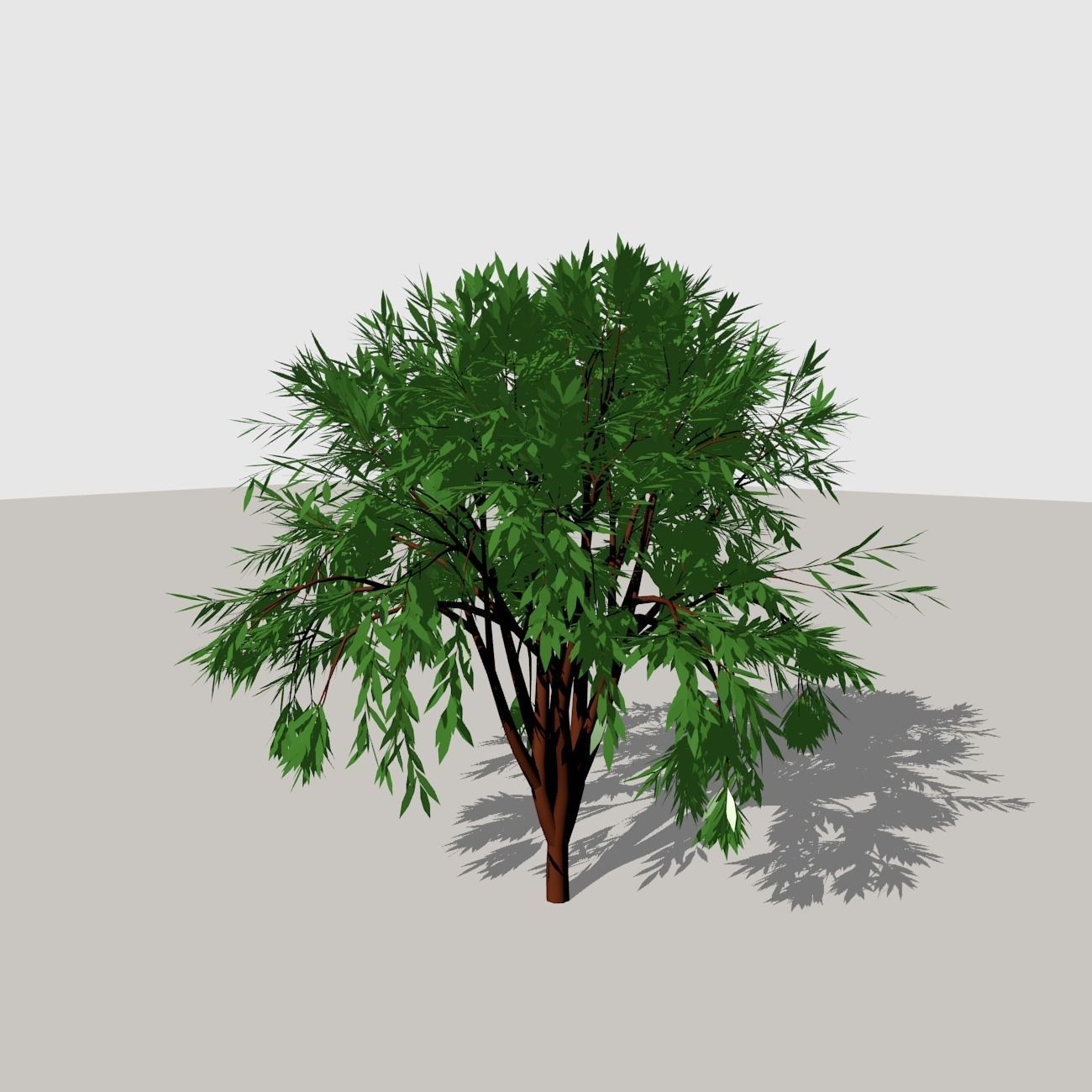 Shrub 1 tree 3D model_5