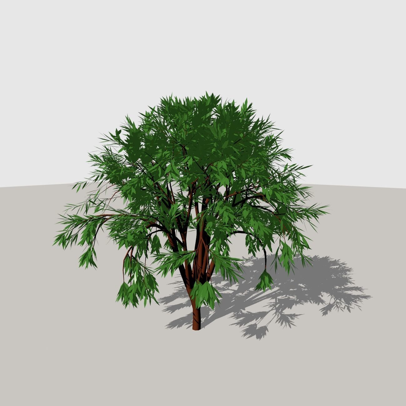 Shrub 1 tree 3D model_3