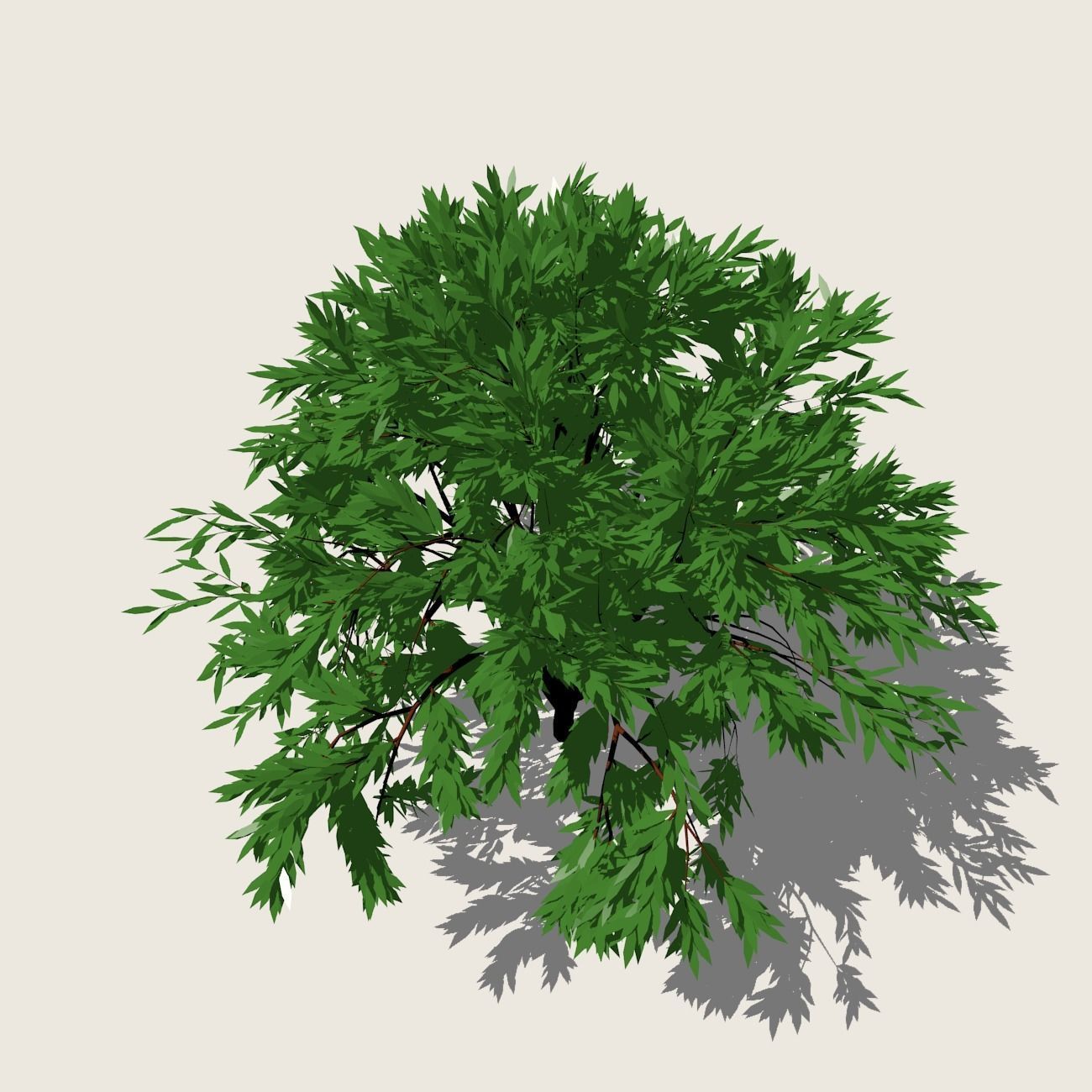 Shrub 1 tree 3D model_7