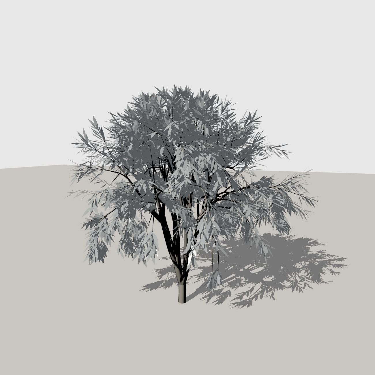 Shrub 1 tree 3D model_1