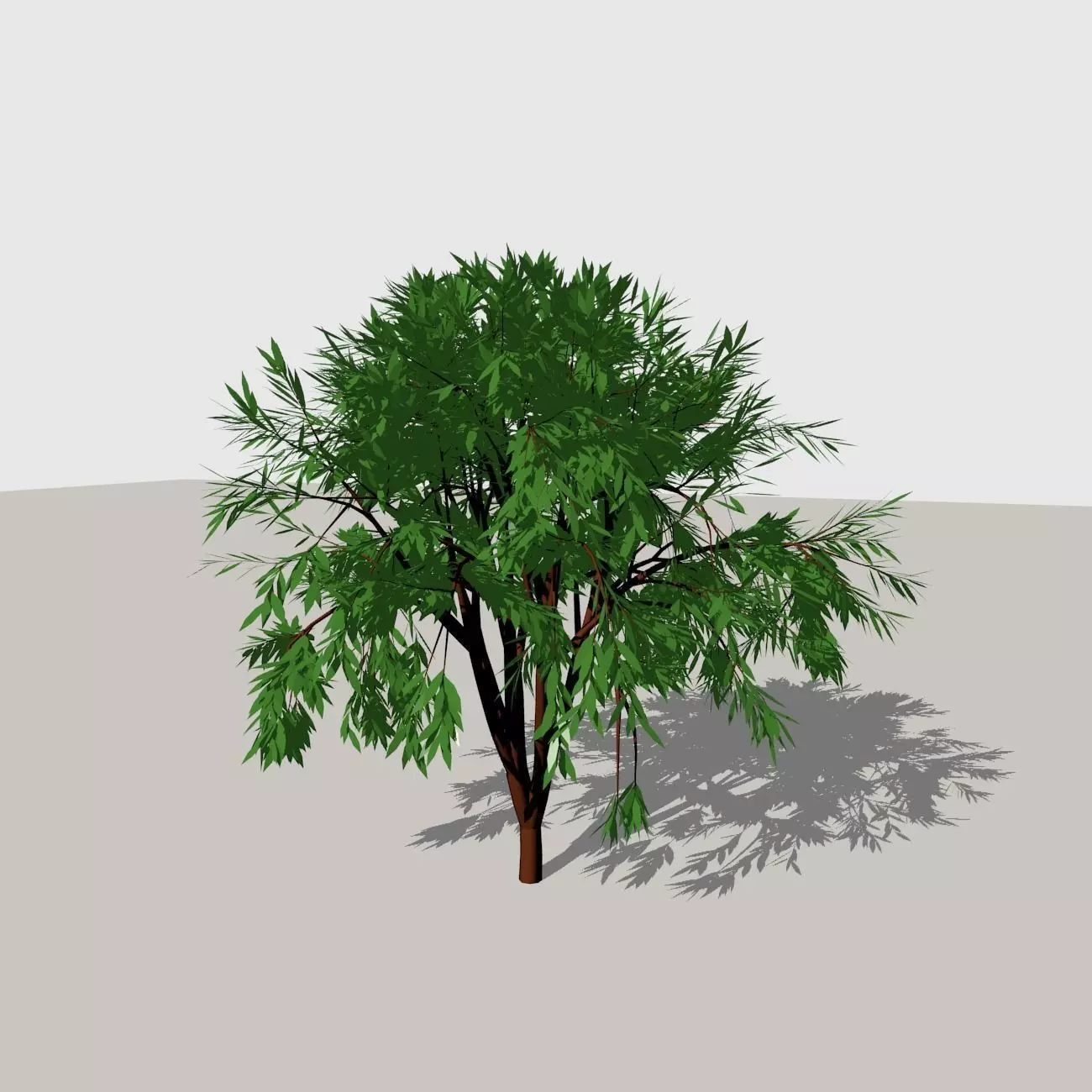 Shrub 1 tree 3D model_0