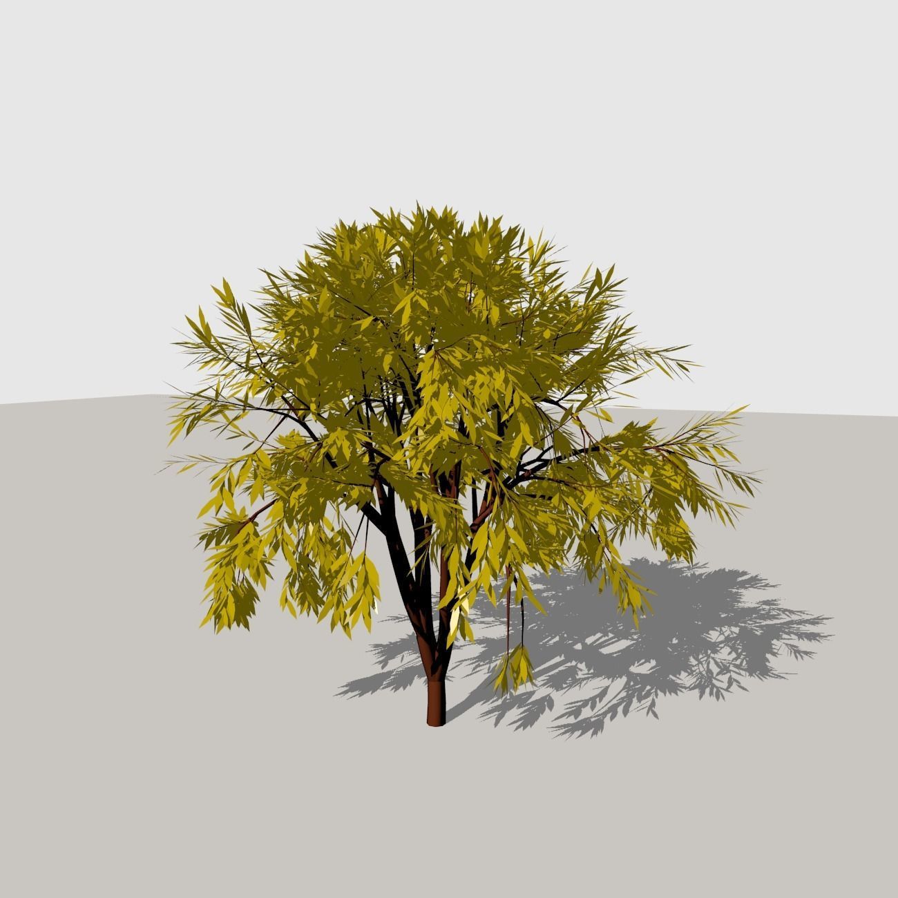 Shrub 1 tree 3D model_8