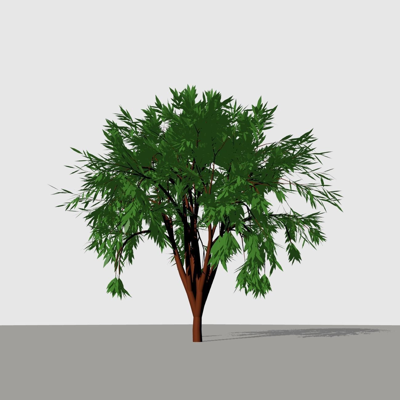 Shrub 1 tree 3D model_6