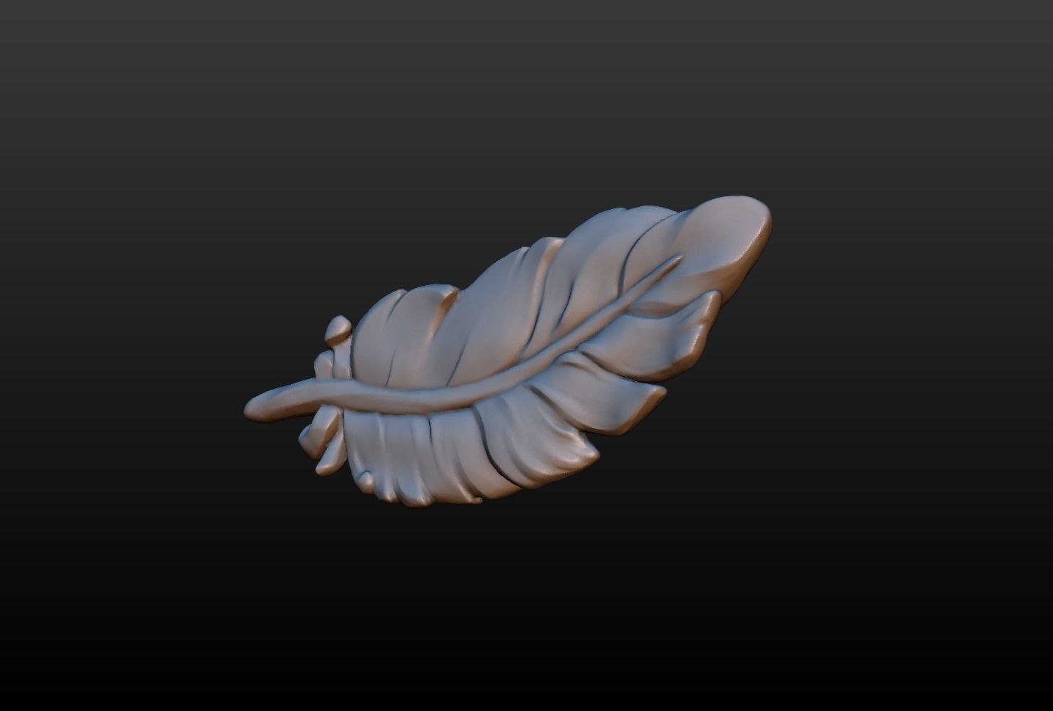 Feather high poly 3D print model_4