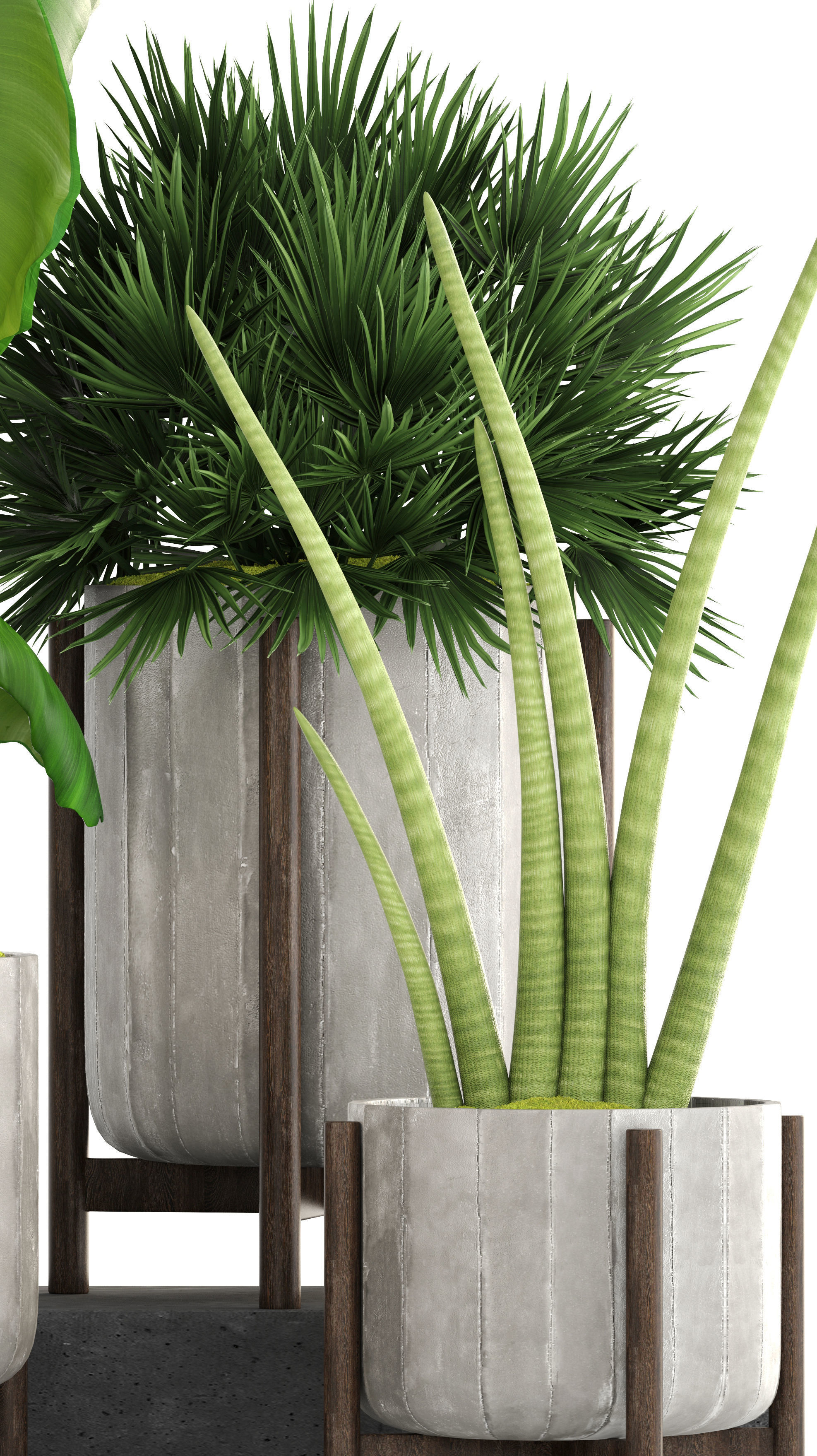 Collection of plants  3D model_7