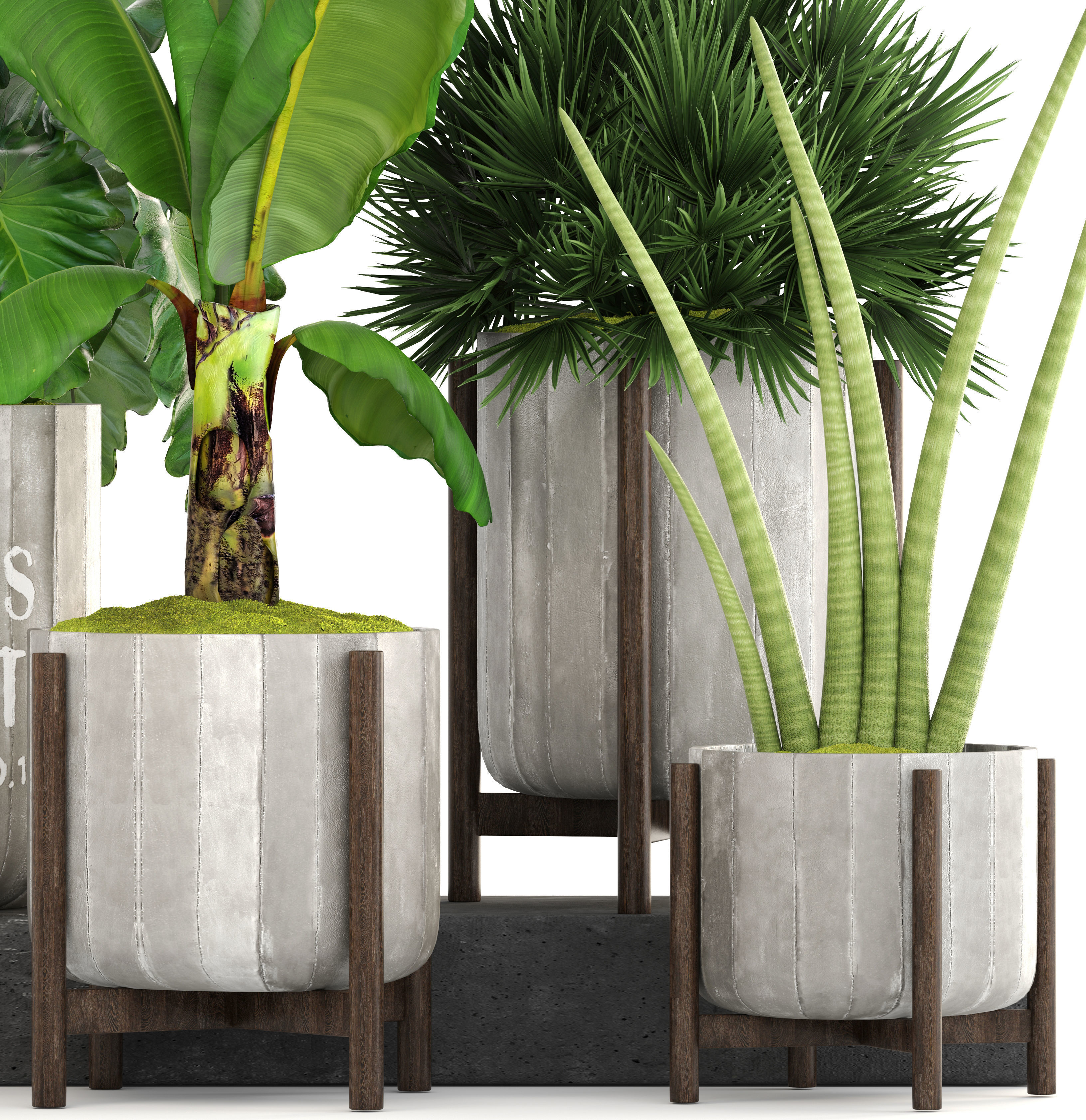 Collection of plants  3D model_3