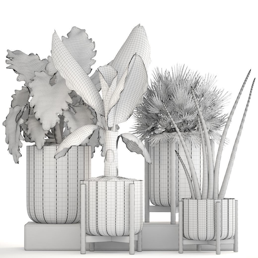 Collection of plants  3D model_6