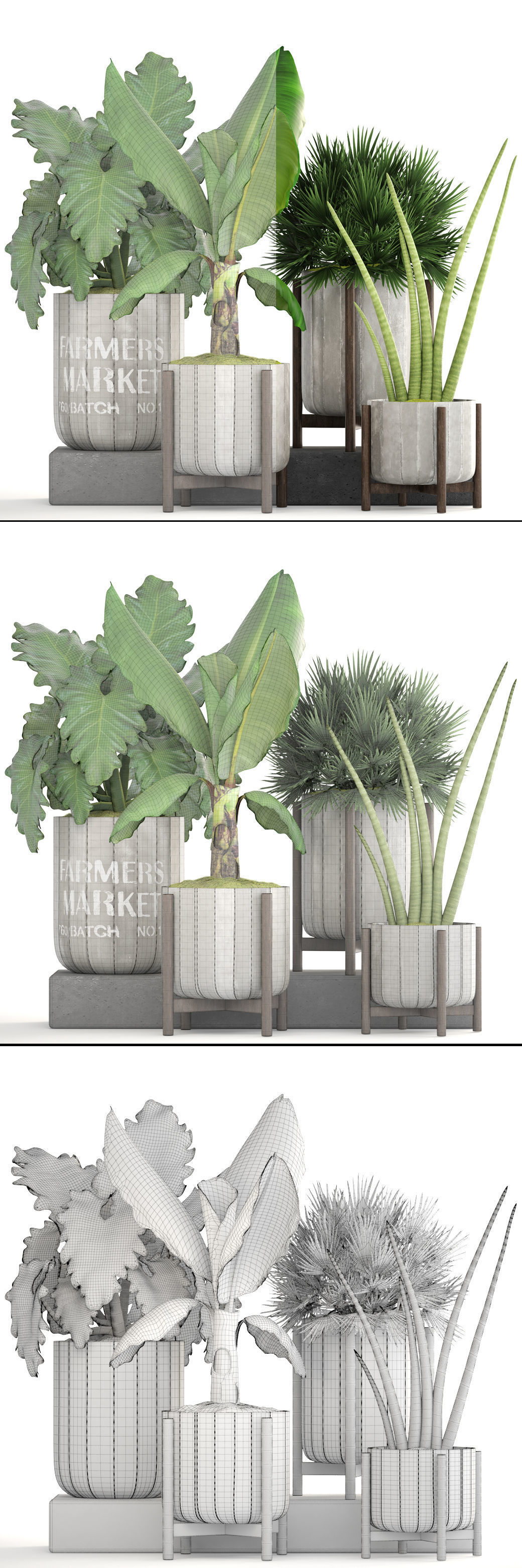 Collection of plants  3D model_9