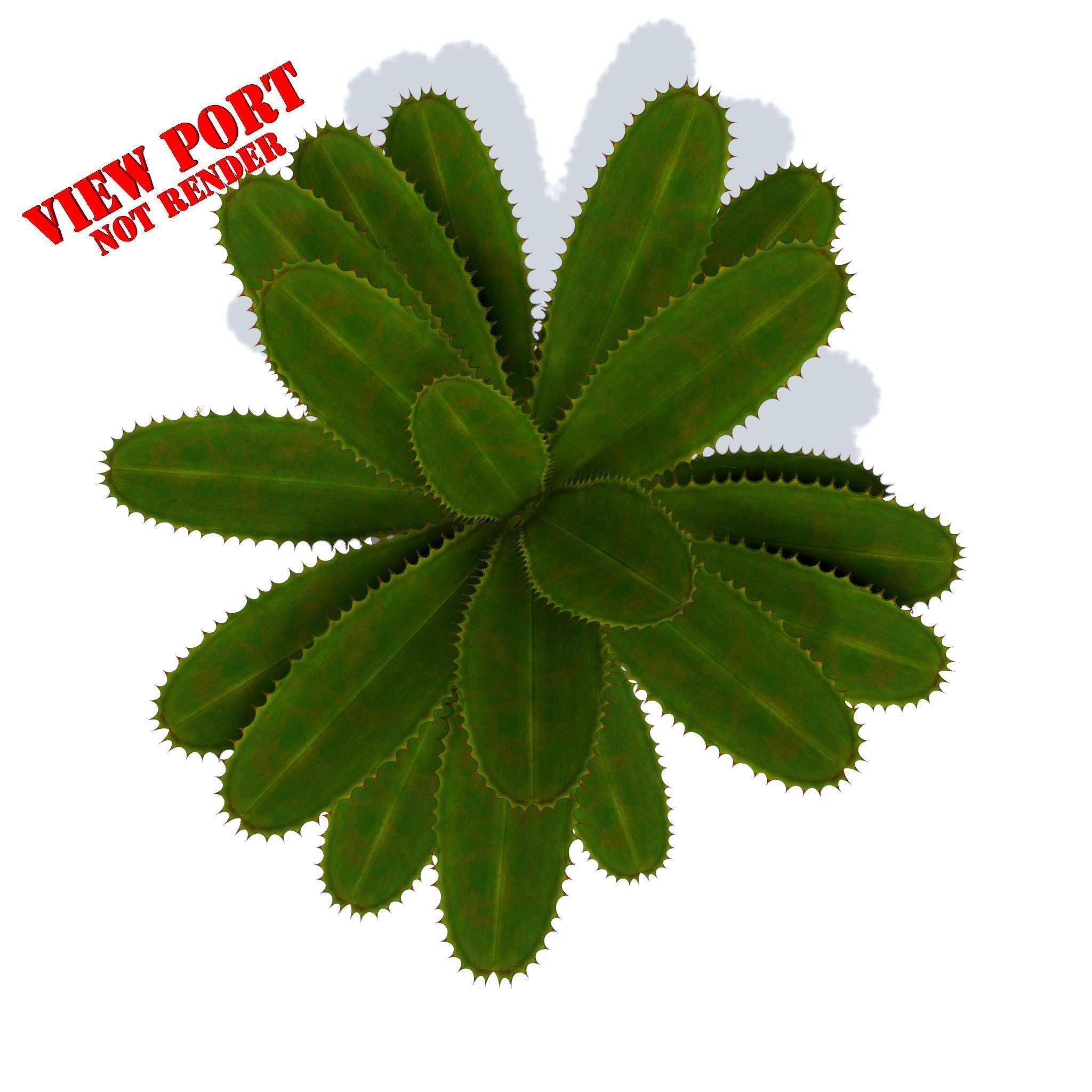 plant in pot Low-poly 3D model_17