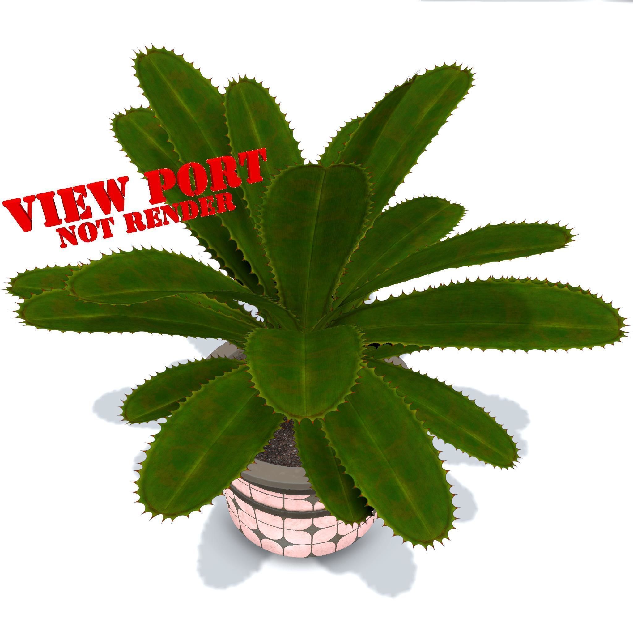 plant in pot Low-poly 3D model_16
