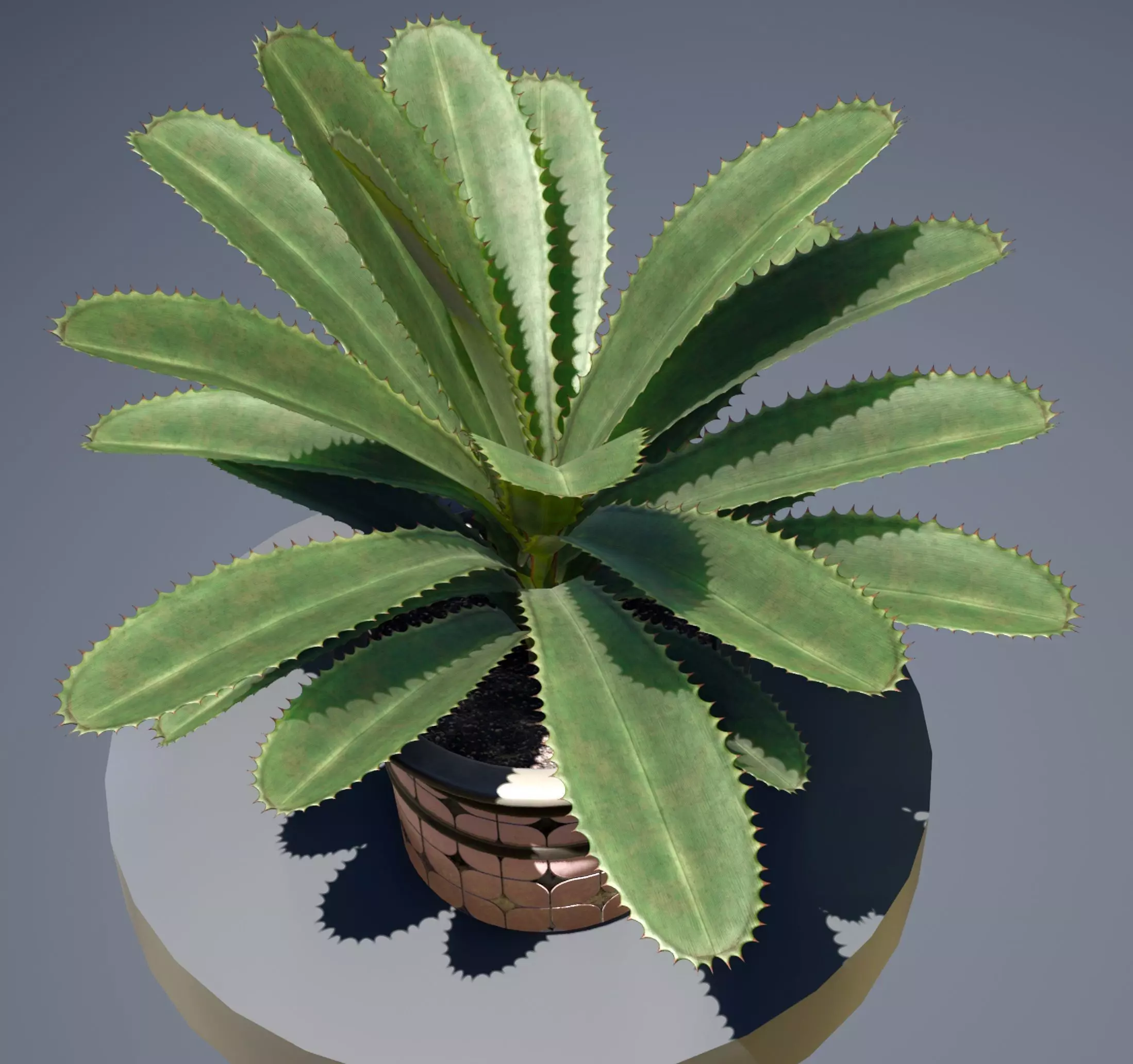 plant in pot Low-poly 3D model_0