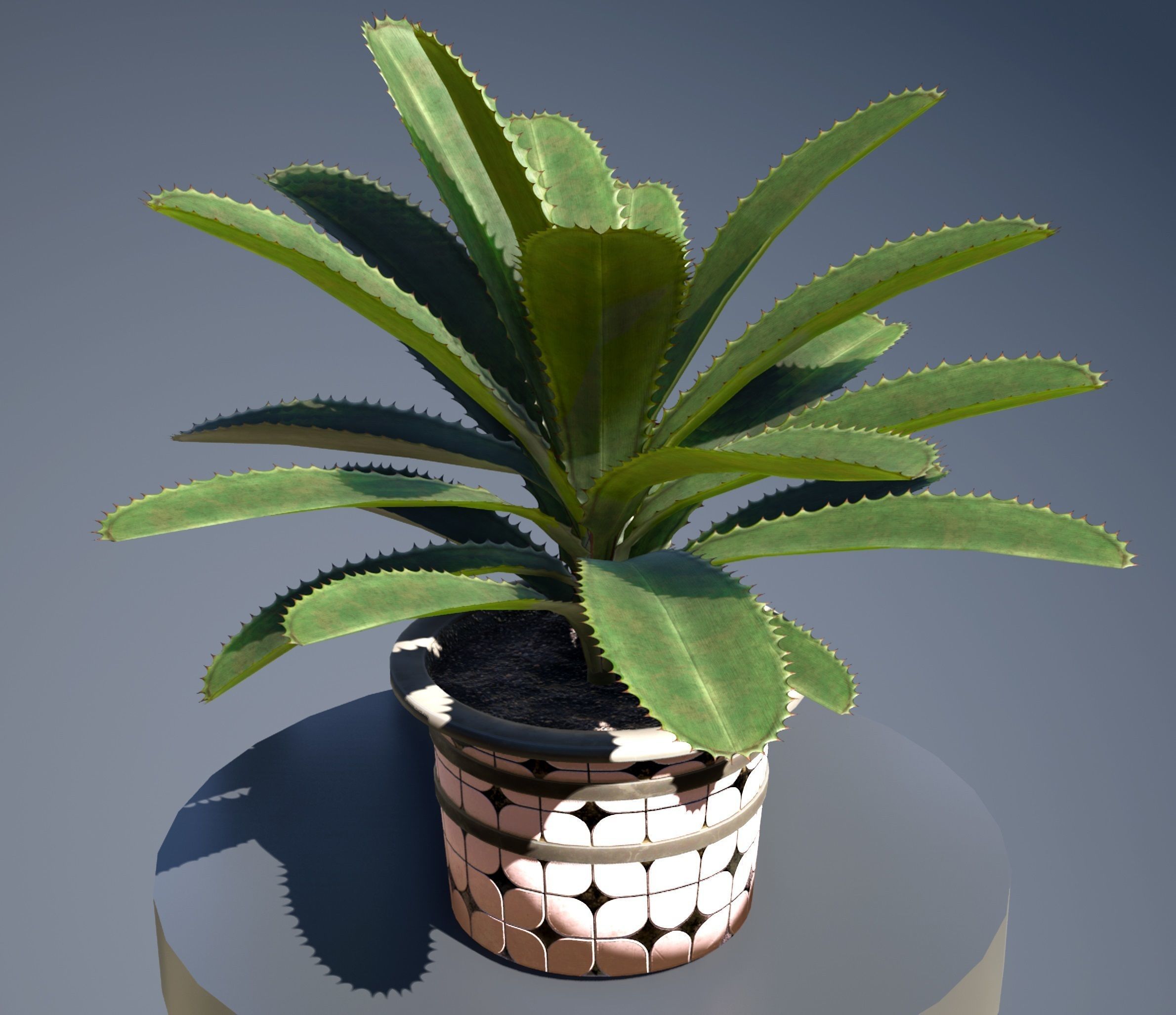 plant in pot Low-poly 3D model_5