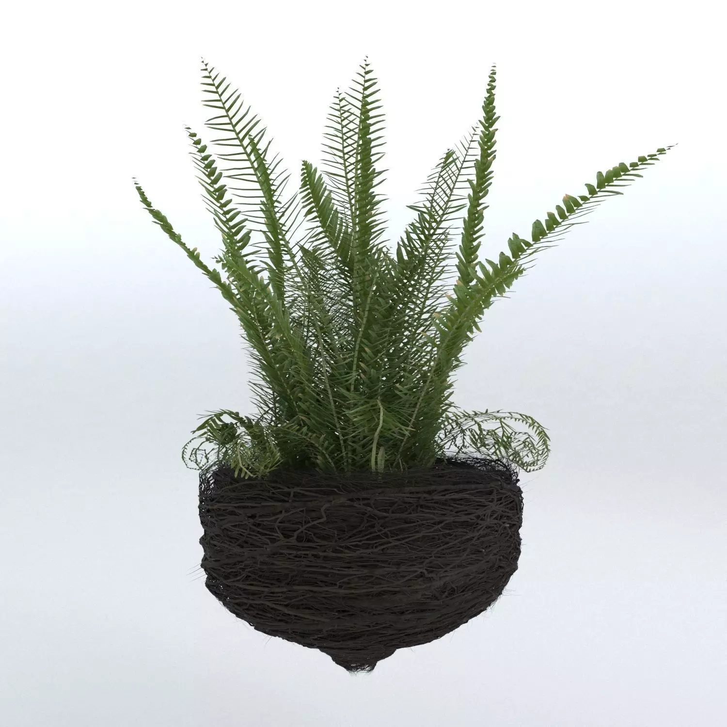 Decorative Plant Pot 3D model_0