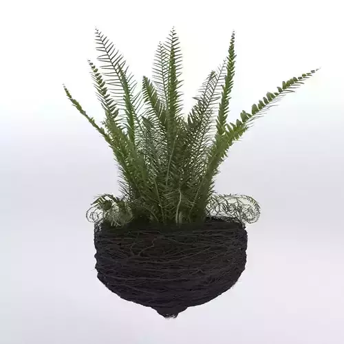 Decorative Plant Pot