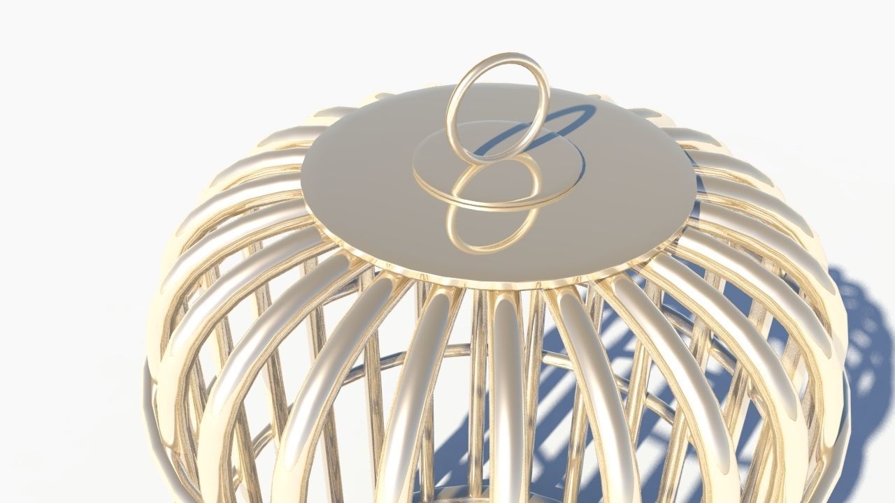 Bird cage 3D model_3