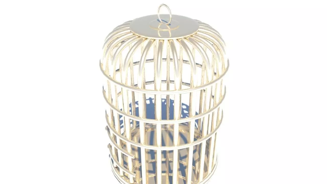 Bird cage 3D model_0