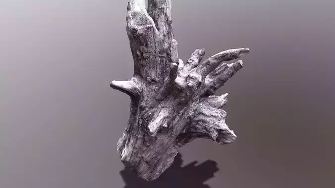 Bark tree part Low-poly 3D model