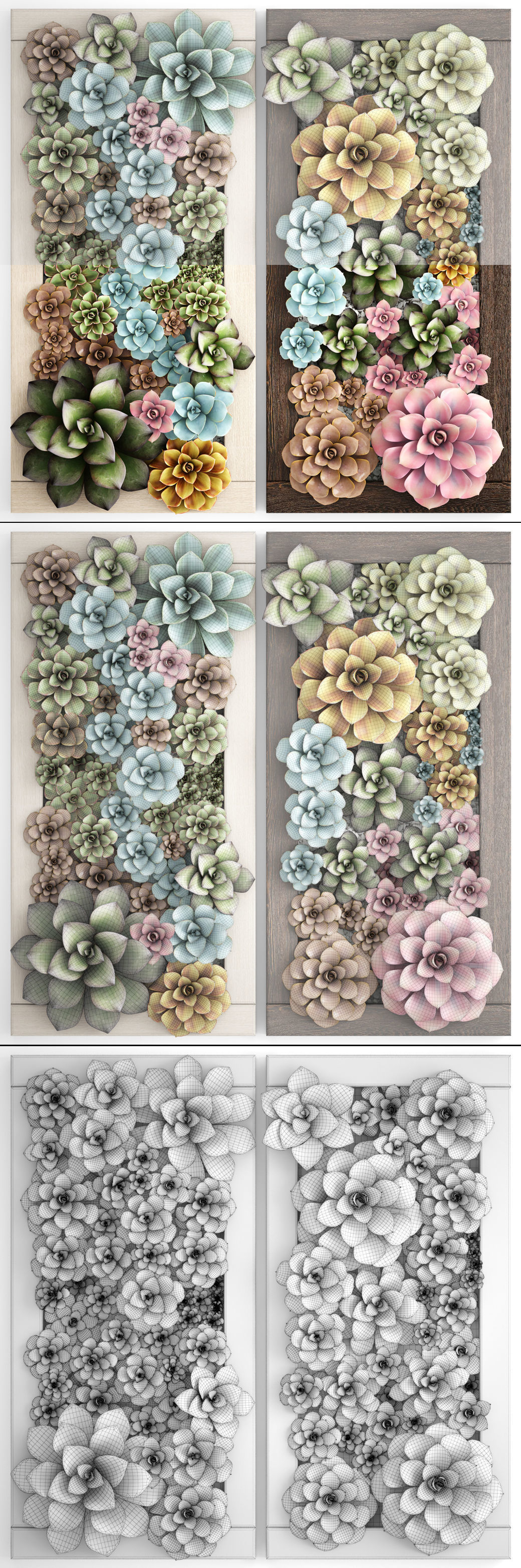 Echeveria Vertical garden 3D model_5