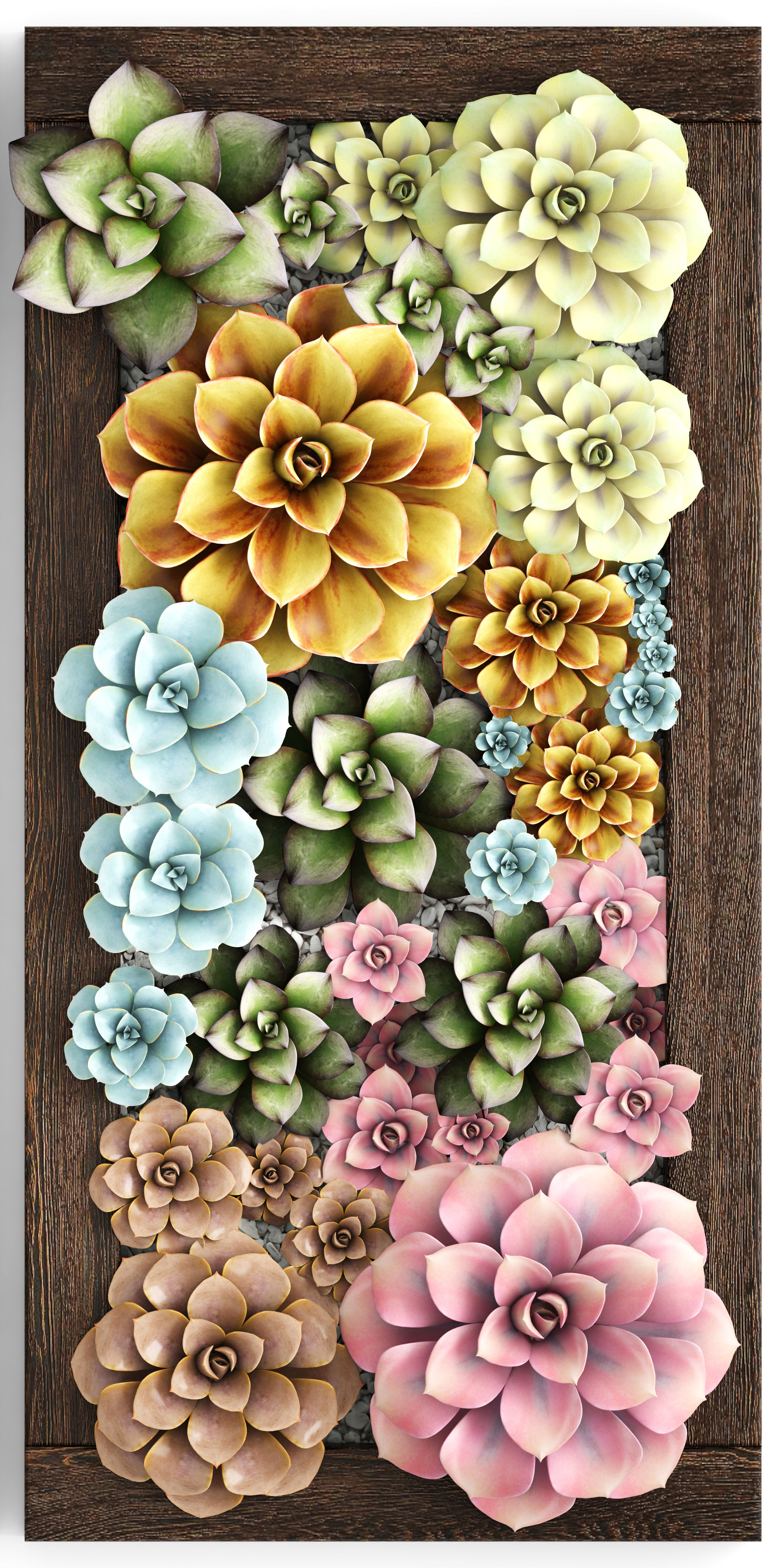 Echeveria Vertical garden 3D model_2