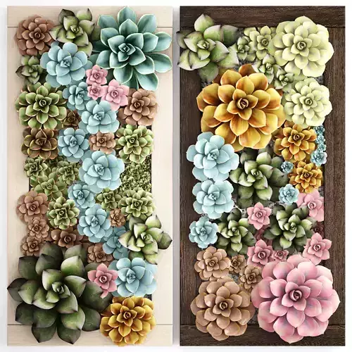 Echeveria Vertical garden
