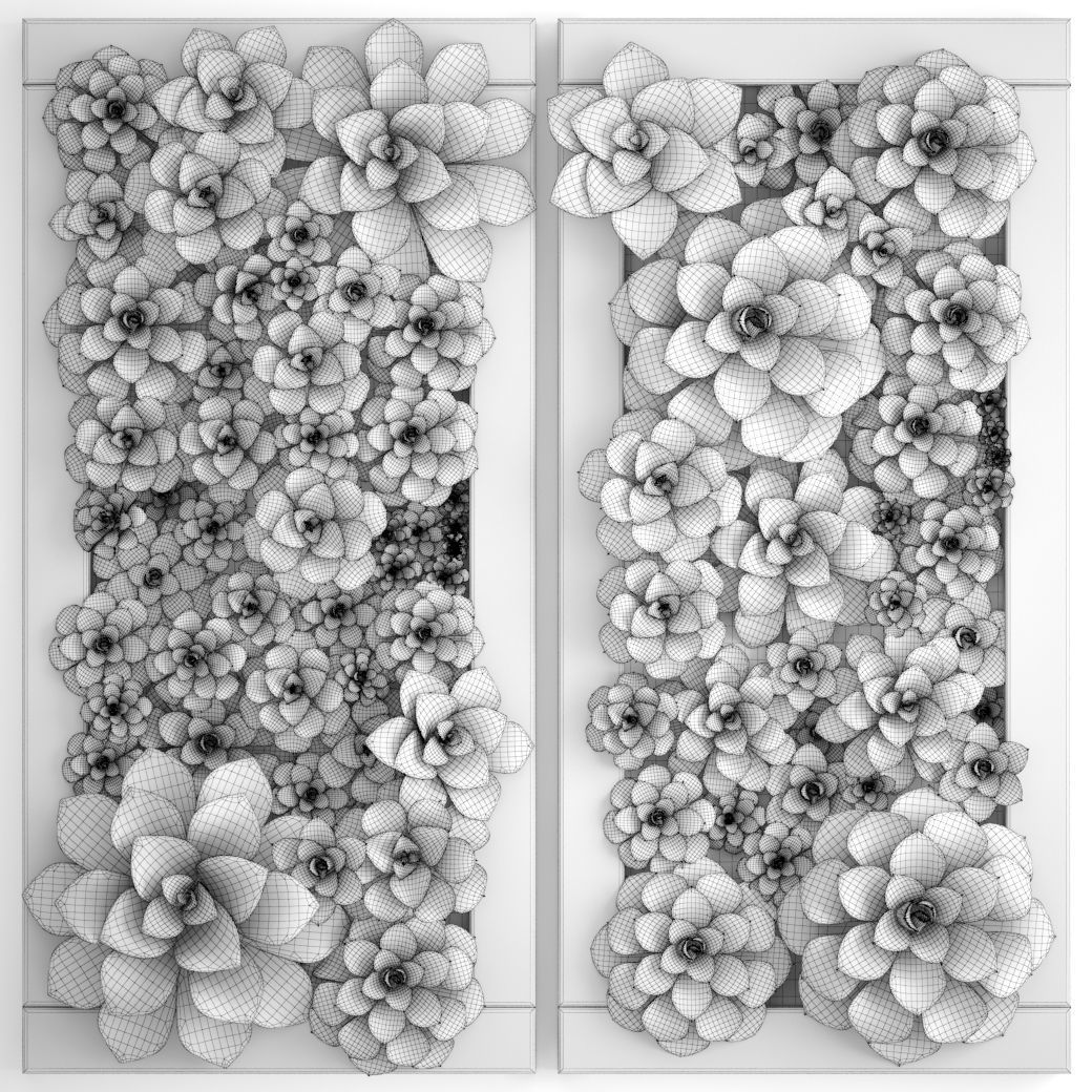Echeveria Vertical garden 3D model_8
