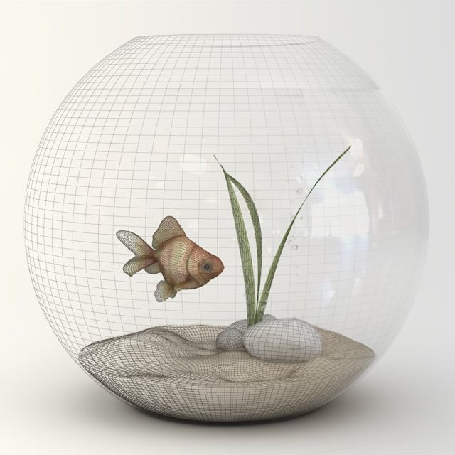 Golden Fish Bowl  3D model_2