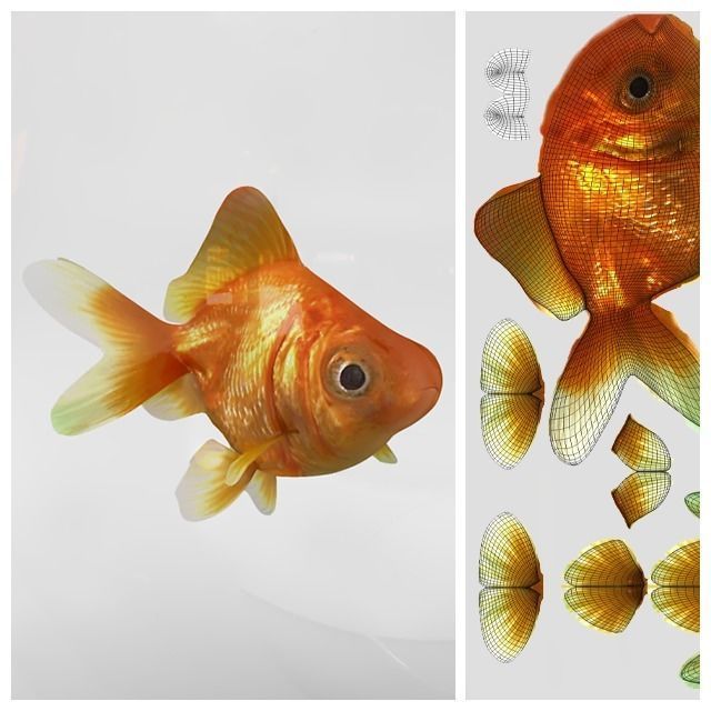 Golden Fish Bowl  3D model_3