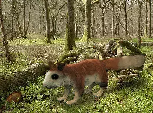 Giant Squirrel 3D model