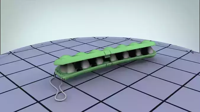 Box for eggs Free 3D model