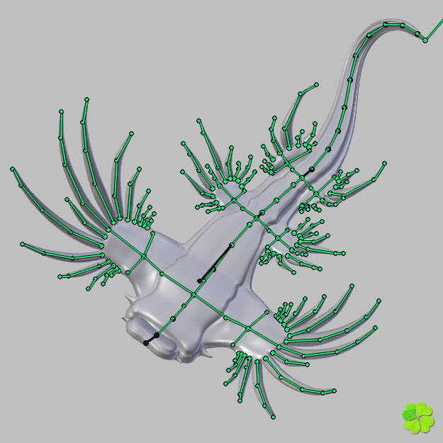 Glaucus atlanticus rigged low poly Low-poly 3D model_58