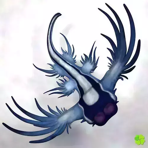 Glaucus atlanticus rigged low poly Low-poly 3D model