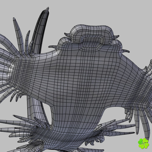 Glaucus atlanticus rigged low poly Low-poly 3D model_44