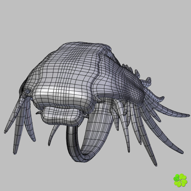 Glaucus atlanticus rigged low poly Low-poly 3D model_36