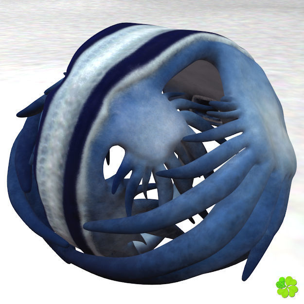 Glaucus atlanticus rigged low poly Low-poly 3D model_14