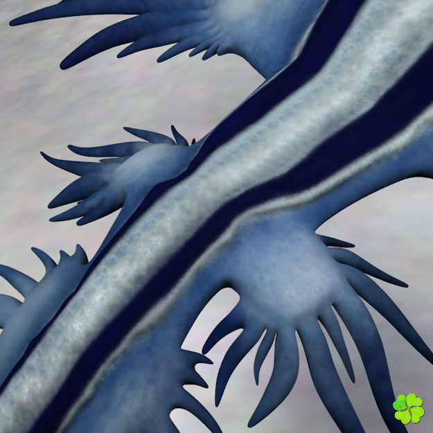 Glaucus atlanticus rigged low poly Low-poly 3D model_4
