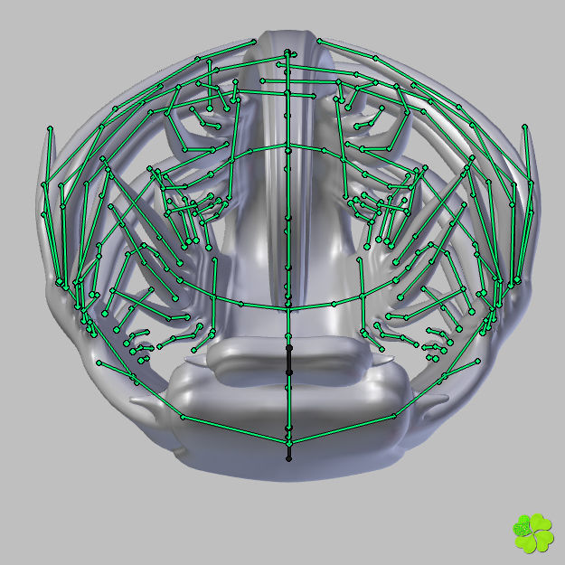 Glaucus atlanticus rigged low poly Low-poly 3D model_60