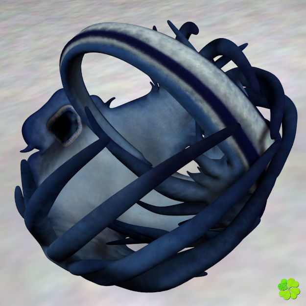 Glaucus atlanticus rigged low poly Low-poly 3D model_11