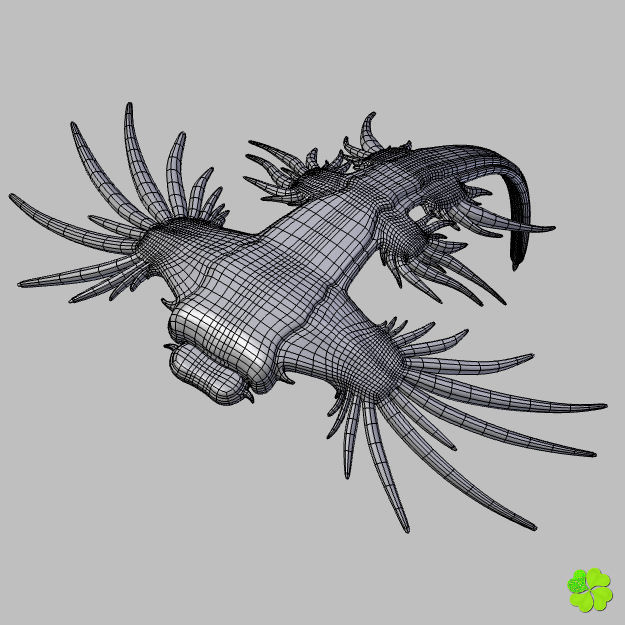 Glaucus atlanticus rigged low poly Low-poly 3D model_24