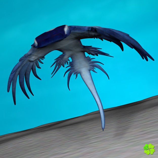 Glaucus atlanticus rigged low poly Low-poly 3D model_16