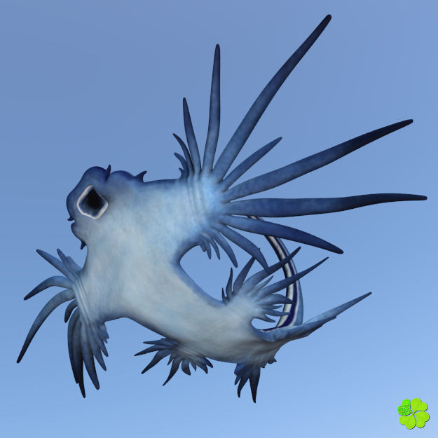 Glaucus atlanticus rigged low poly Low-poly 3D model_9