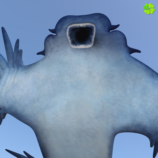 Glaucus atlanticus rigged low poly Low-poly 3D model_10