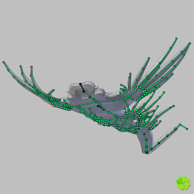 Glaucus atlanticus rigged low poly Low-poly 3D model_56