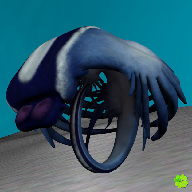 Glaucus atlanticus rigged low poly Low-poly 3D model_21